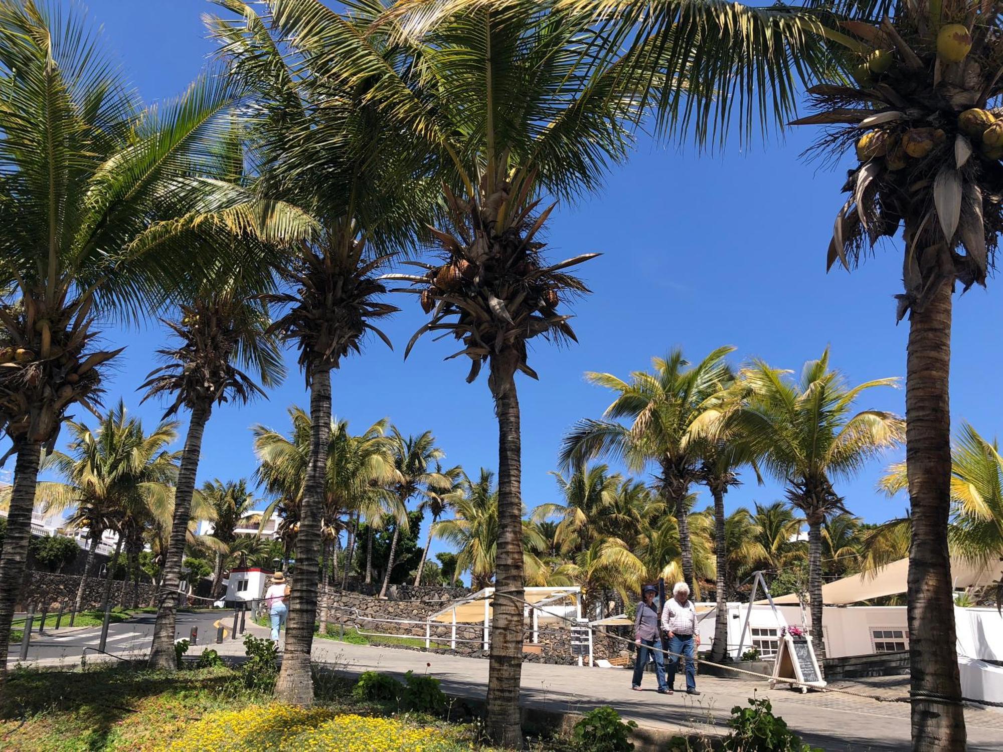 Casa Margarita - Shared Pool - Close To Seafront Promenade Punta Mujeres 外观 照片